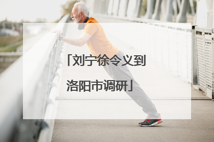 刘宁徐令义到洛阳市调研