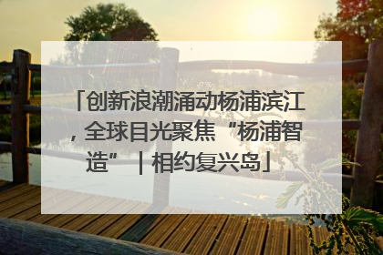 创新浪潮涌动杨浦滨江，全球目光聚焦“杨浦智造”｜相约复兴岛