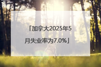 加拿大2025年5月失业率为7.0%