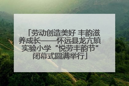 劳动创造美好 丰韵滋养成长——怀远县龙亢镇实验小学“悦劳丰韵节”闭幕式圆满举行