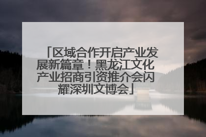 区域合作开启产业发展新篇章！黑龙江文化产业招商引资推介会闪耀深圳文博会