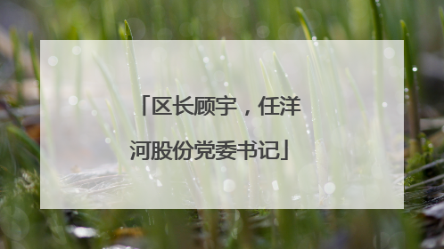 区长顾宇，任洋河股份党委书记