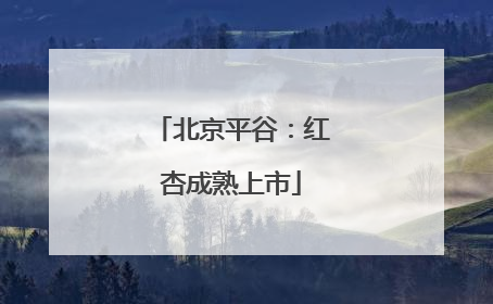 北京平谷：红杏成熟上市