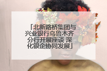 北新路桥集团与兴业银行乌鲁木齐分行开展座谈 深化银企协同发展