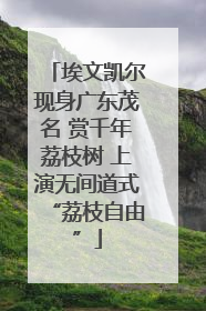 埃文凯尔现身广东茂名 赏千年荔枝树 上演无间道式“荔枝自由”