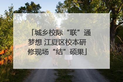城乡校际“联”通梦想 江夏区校本研修现场“结”硕果