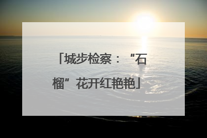 城步检察：“石榴”花开红艳艳