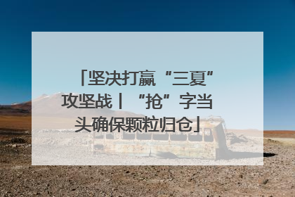 坚决打赢“三夏”攻坚战丨“抢”字当头确保颗粒归仓