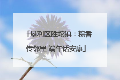 垦利区胜坨镇：粽香传邻里 端午话安康