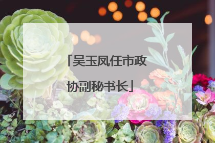 吴玉凤任市政协副秘书长