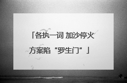 各执一词 加沙停火方案陷“罗生门”