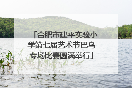 合肥市建平实验小学第七届艺术节巴乌专场比赛圆满举行