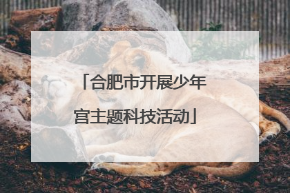合肥市开展少年宫主题科技活动