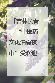 吉林长春：“中医药文化消夏夜市”受欢迎