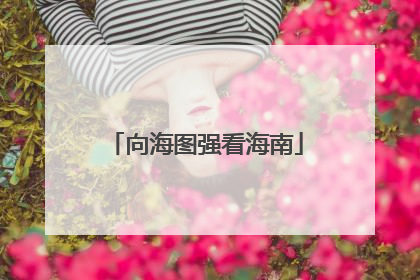 向海图强看海南