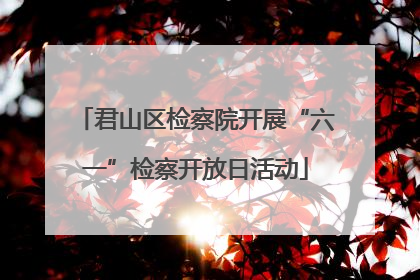君山区检察院开展“六一”检察开放日活动