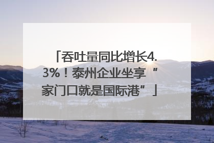 吞吐量同比增长4.3%！泰州企业坐享“家门口就是国际港”