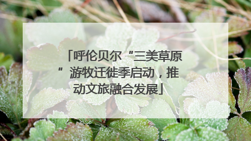 呼伦贝尔“三美草原”游牧迁徙季启动，推动文旅融合发展
