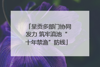 呈贡多部门协同发力 筑牢滇池“十年禁渔”防线