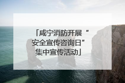 咸宁消防开展“安全宣传咨询日”集中宣传活动