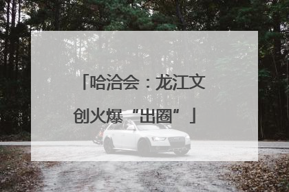 哈洽会：龙江文创火爆“出圈”