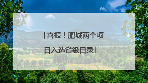 喜报！肥城两个项目入选省级目录
