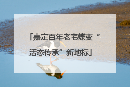 嘉定百年老宅蝶变“活态传承”新地标