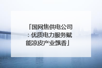 国网焦供电公司：优质电力服务赋能凉皮产业飘香