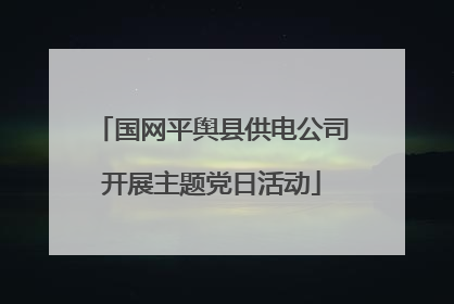 国网平舆县供电公司开展主题党日活动