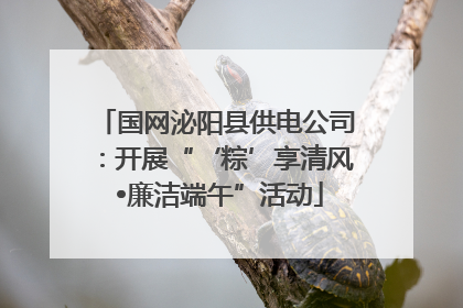 国网泌阳县供电公司：开展“‘粽’享清风 •廉洁端午”活动