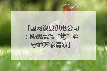 国网浚县供电公司：鏖战高温“烤”验 守护万家清凉