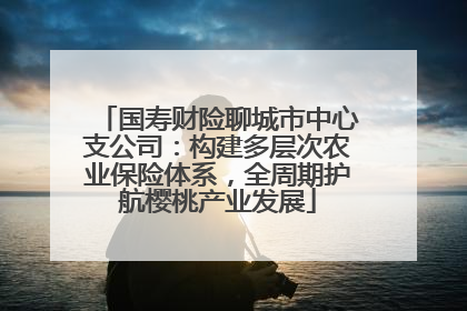 国寿财险聊城市中心支公司：构建多层次农业保险体系，全周期护航樱桃产业发展
