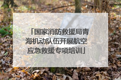 国家消防救援局青海机动队伍开展航空应急救援专项培训