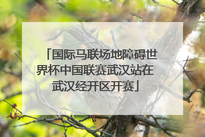国际马联场地障碍世界杯中国联赛武汉站在武汉经开区开赛