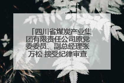 四川省煤炭产业集团有限责任公司原党委委员、副总经理张万松 接受纪律审查和监察调查