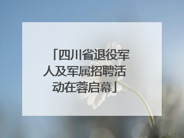 四川省退役军人及军属招聘活动在蓉启幕