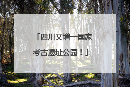 四川又增一国家考古遗址公园！