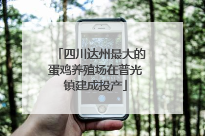 四川达州最大的蛋鸡养殖场在普光镇建成投产
