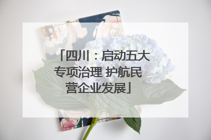 四川：启动五大专项治理 护航民营企业发展