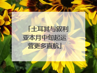 土耳其与叙利亚本月中旬起运营更多直航