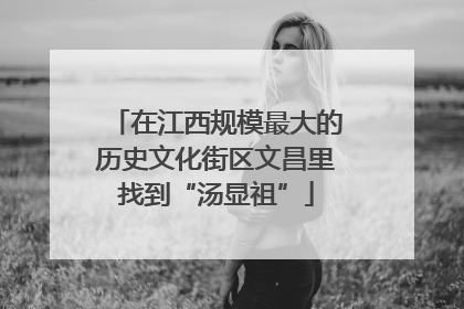在江西规模最大的历史文化街区文昌里找到“汤显祖”