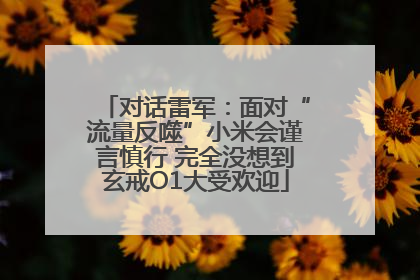 对话雷军：面对“流量反噬”小米会谨言慎行 完全没想到玄戒O1大受欢迎