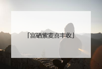 富硒紫麦喜丰收