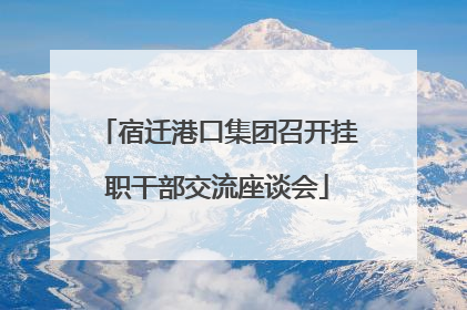 宿迁港口集团召开挂职干部交流座谈会