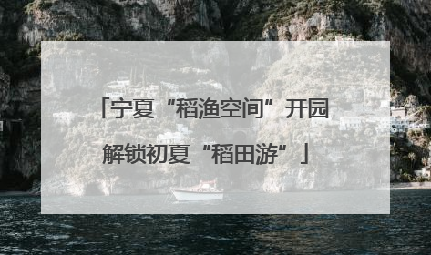 宁夏“稻渔空间”开园 解锁初夏“稻田游”