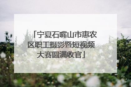 宁夏石嘴山市惠农区职工摄影暨短视频大赛圆满收官