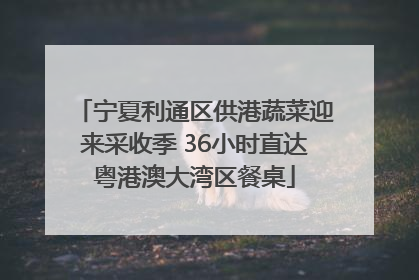 宁夏利通区供港蔬菜迎来采收季 36小时直达粤港澳大湾区餐桌
