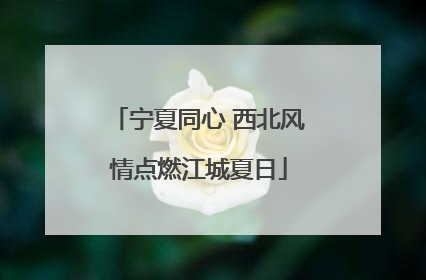 宁夏同心 西北风情点燃江城夏日
