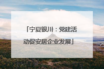 宁夏银川：党建活动促安居企业发展