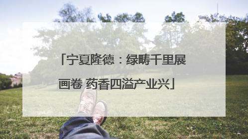 宁夏隆德：绿畴千里展画卷 药香四溢产业兴